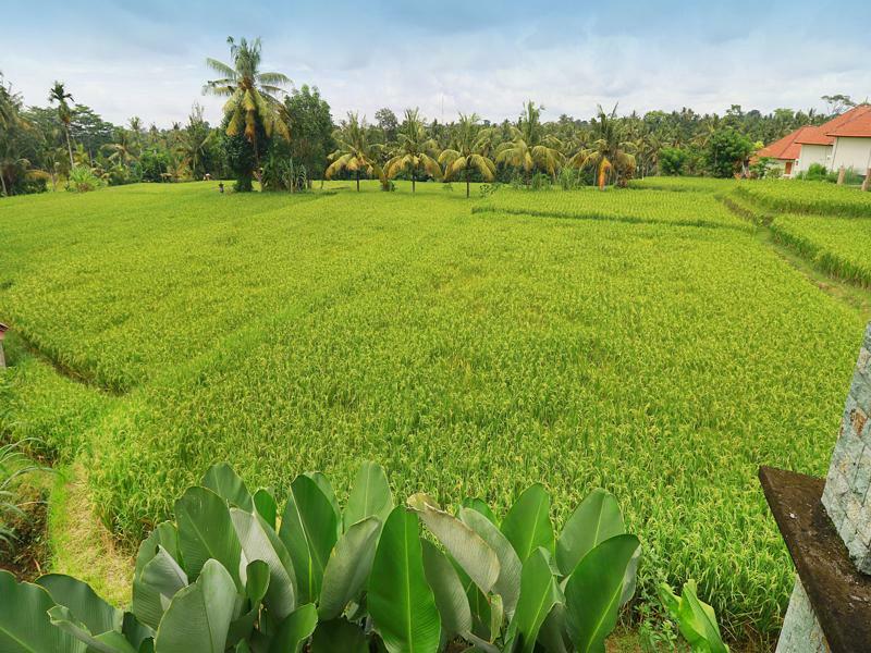 Bisma Cottages Ubud Екстериор снимка