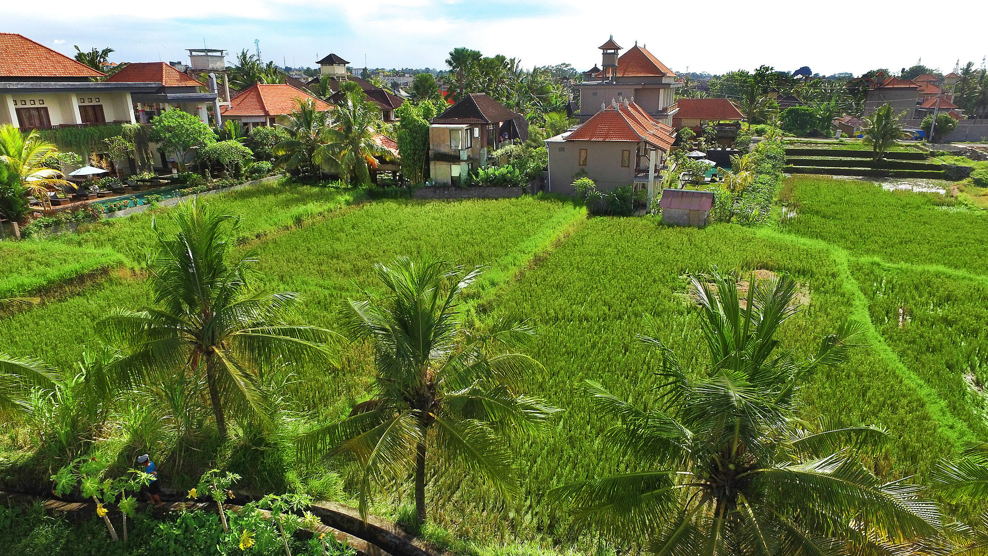 Bisma Cottages Ubud Екстериор снимка